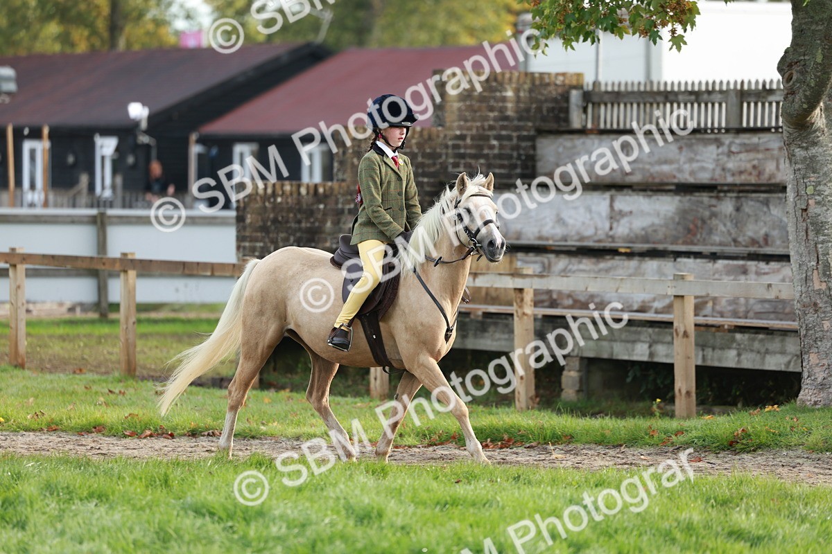 SBM_56320 - S39 - Starters In Hand Showing