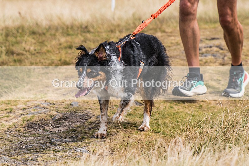 Lowther-742 - Lowther Lakeland Fell & Trail Race Sunday 9th August 2026