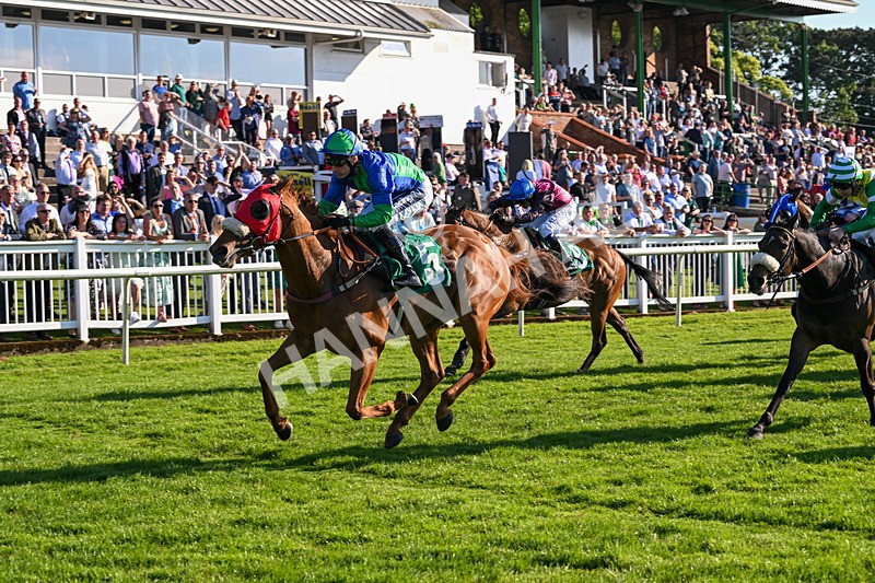 180524-Race 8-Lord Abama-0113