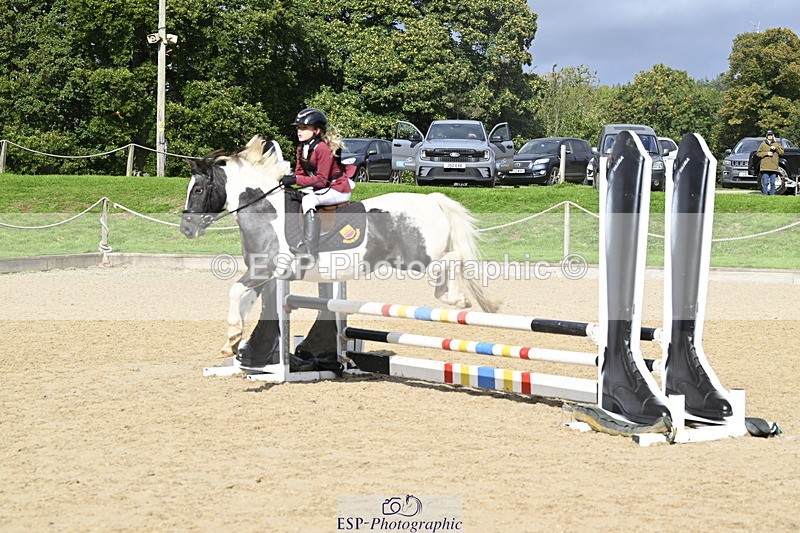 251005A-122044-03728 - Cls 08 Mini 70-75cm