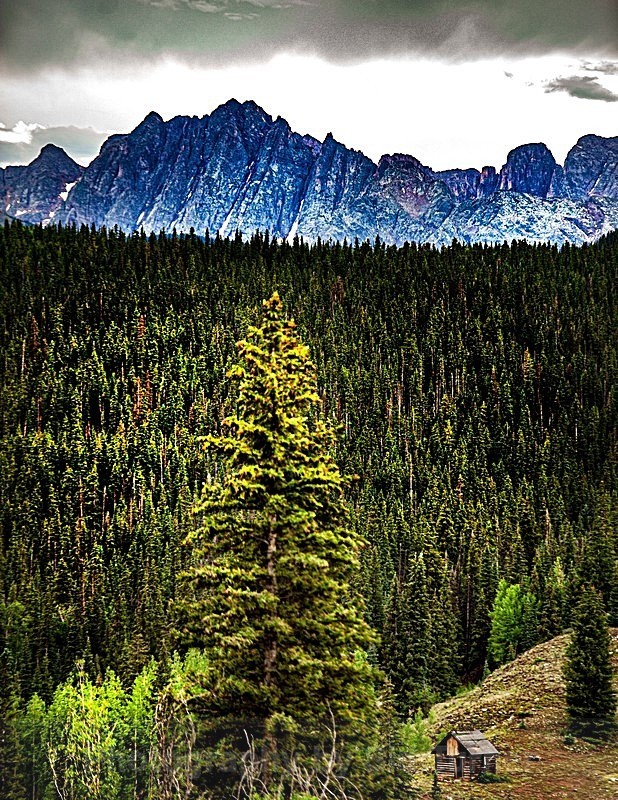  - Nature