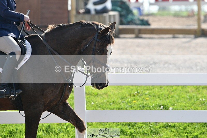 240511A-093850-11324 - Cls 28 95cm National Am Quali