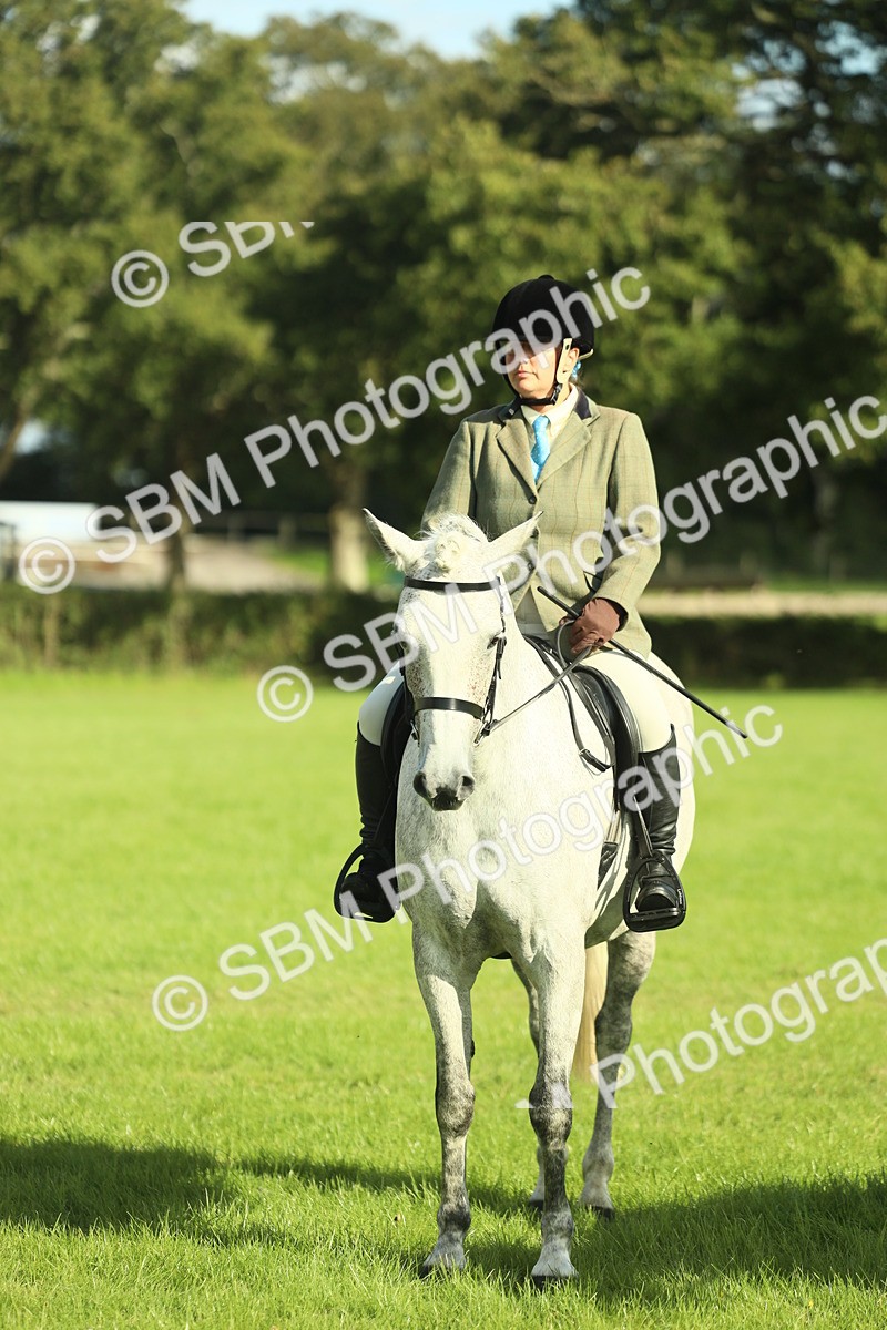 SBM_49833 - S32 - Novice & Newcomers Working Hunter