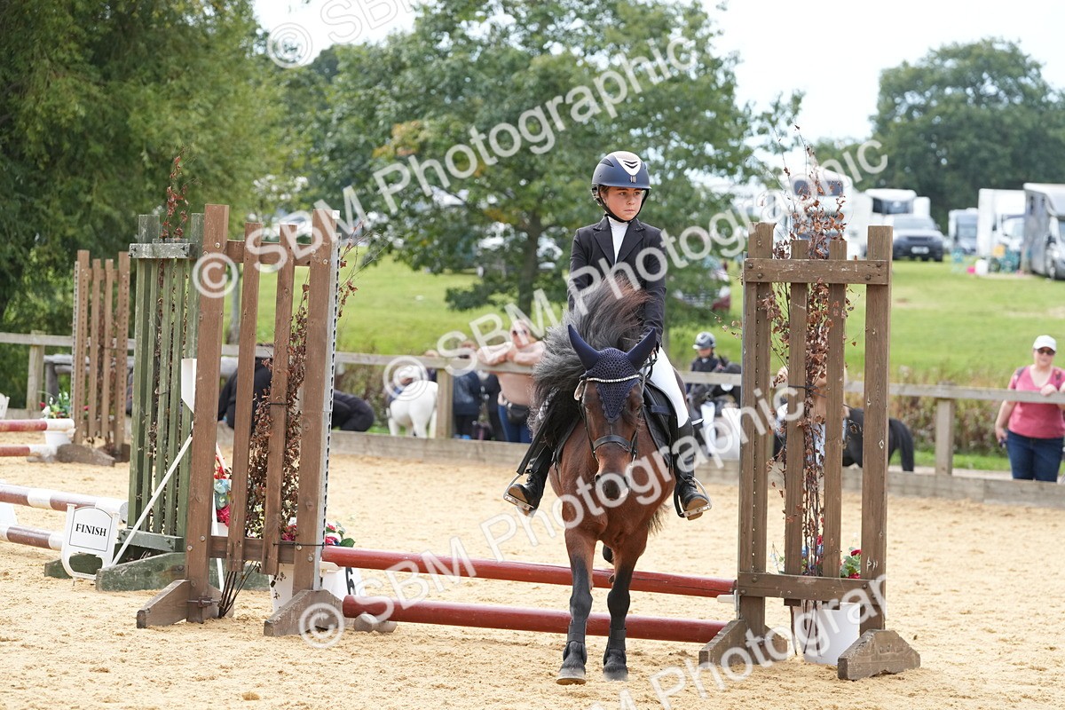 SBM_70591 - J3 - Mini Tour Junior Pony 40cm Championship
