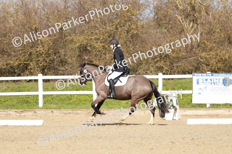 20260314-2951 - DR3 - Prelim 1