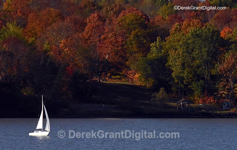 Autumn Sail New Brunswick Canada - Sport & Recreation