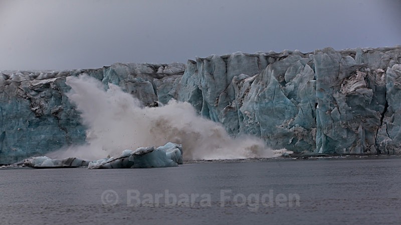 Glacier calving 9034 - Trip with MS Expedition August 2016