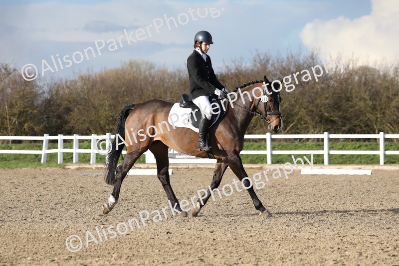 20260314-5953 - DR9 - PYO