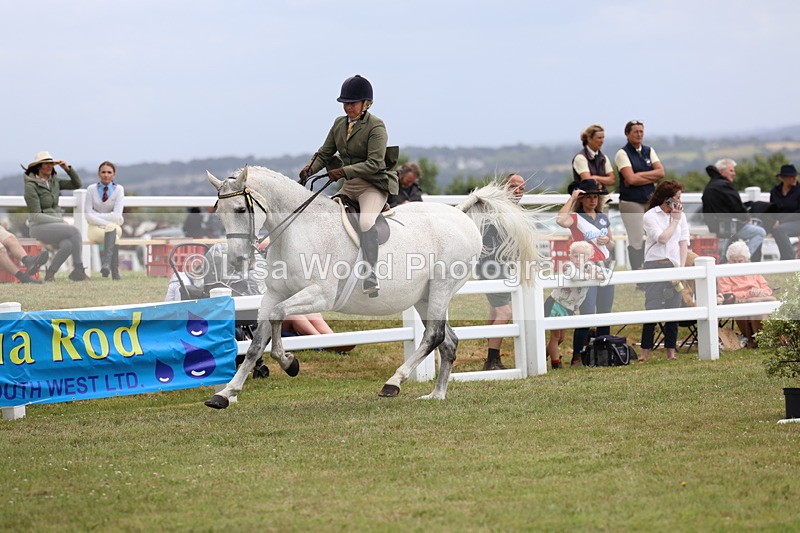 3E7A1019 - Class 8: Open Riding Horse/Hack