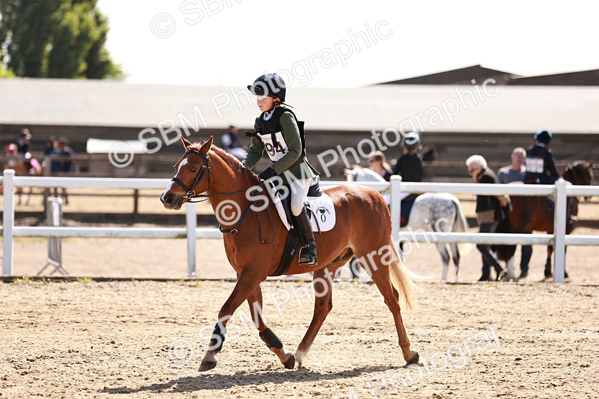 SBM_006930 - Class 2 - 50cm