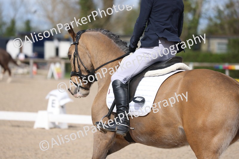 20260405-0260 - Class 3 - Novice 5