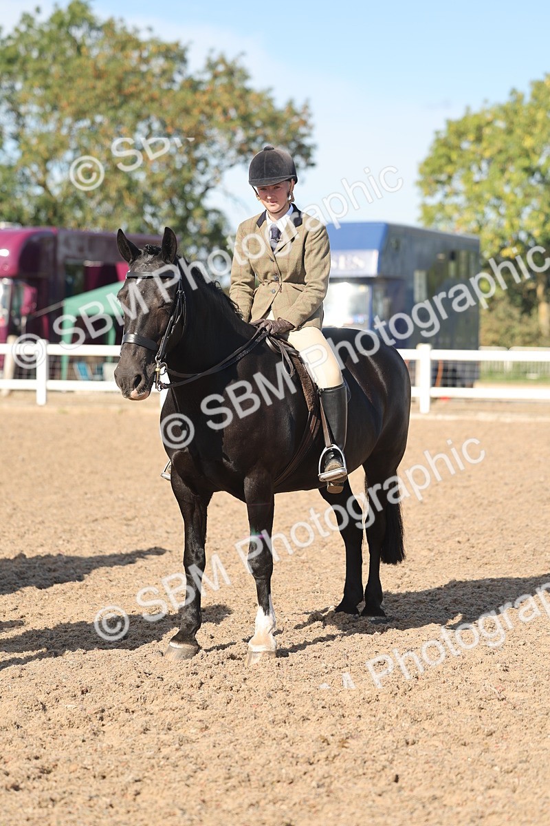 SBM_12371 - Class 304 - Ridden part Bred Horse Pony
