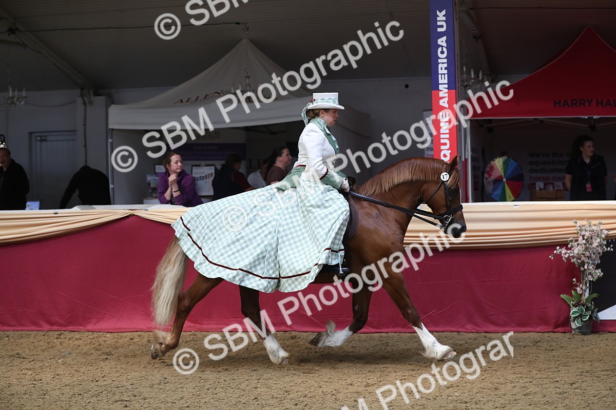 SBM_12091 - Class 106 Ridden Costume- Astride Adult (15-19)