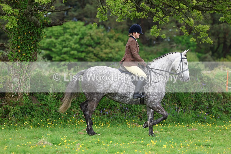 3E7A1112 - Class 7: Ridden Hunter Type