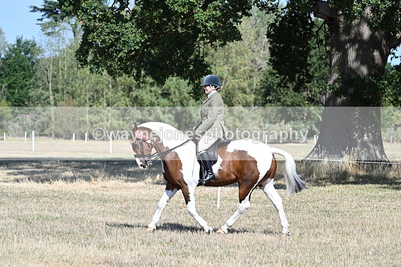 WJ7_3234 - Class 8 Ridden Tack & Turnout