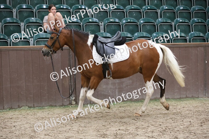 20250622-7651 - PC70 Qualifier - Round 2