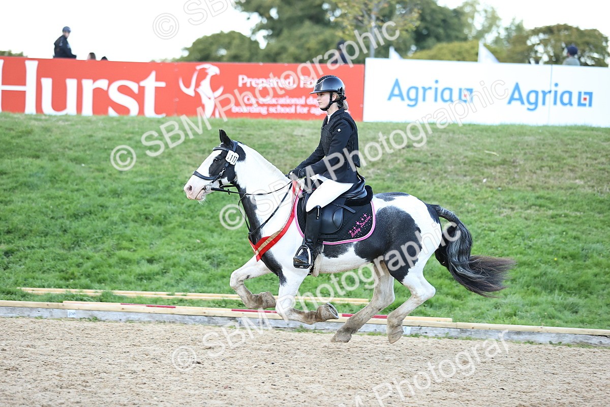 SBM_54460 - Supreme Championship 70cm 75cm