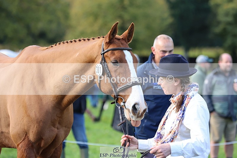 251026A-101711-22850 - D-301-Alison.Stewart
