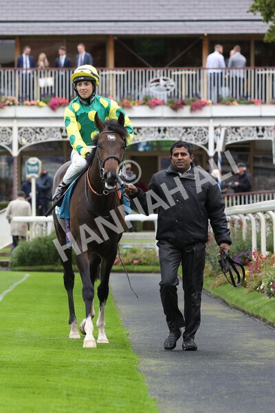 yr07102022r1-29 - Race 1 2.05pm Parsonage Hotel and Cloisters Spa Stakes