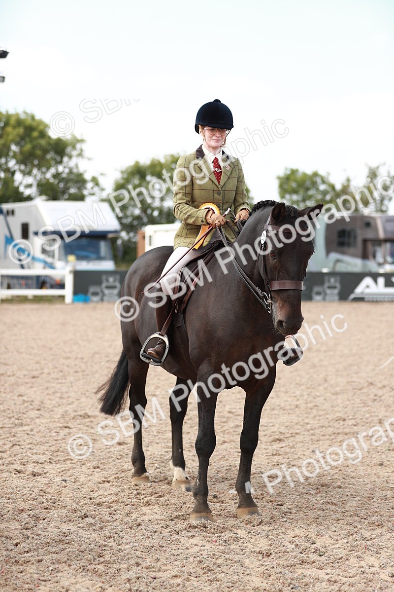 SBM_14924 - Class 212 Ridden Hunter - Small