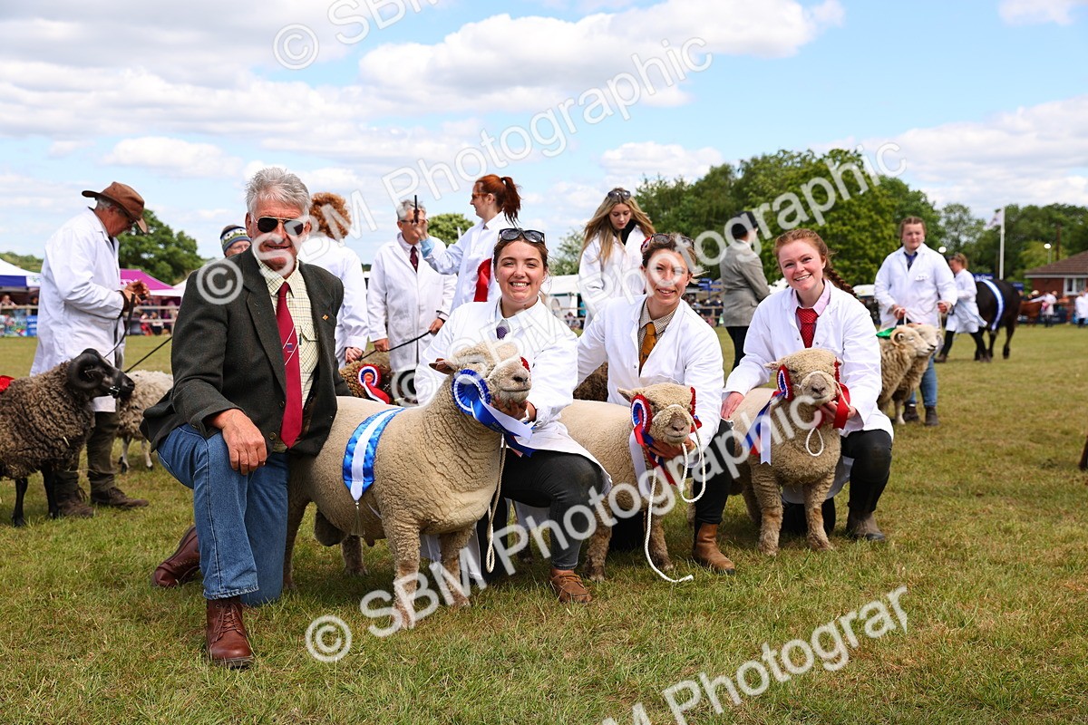 SBM_16958 - Grand Parade