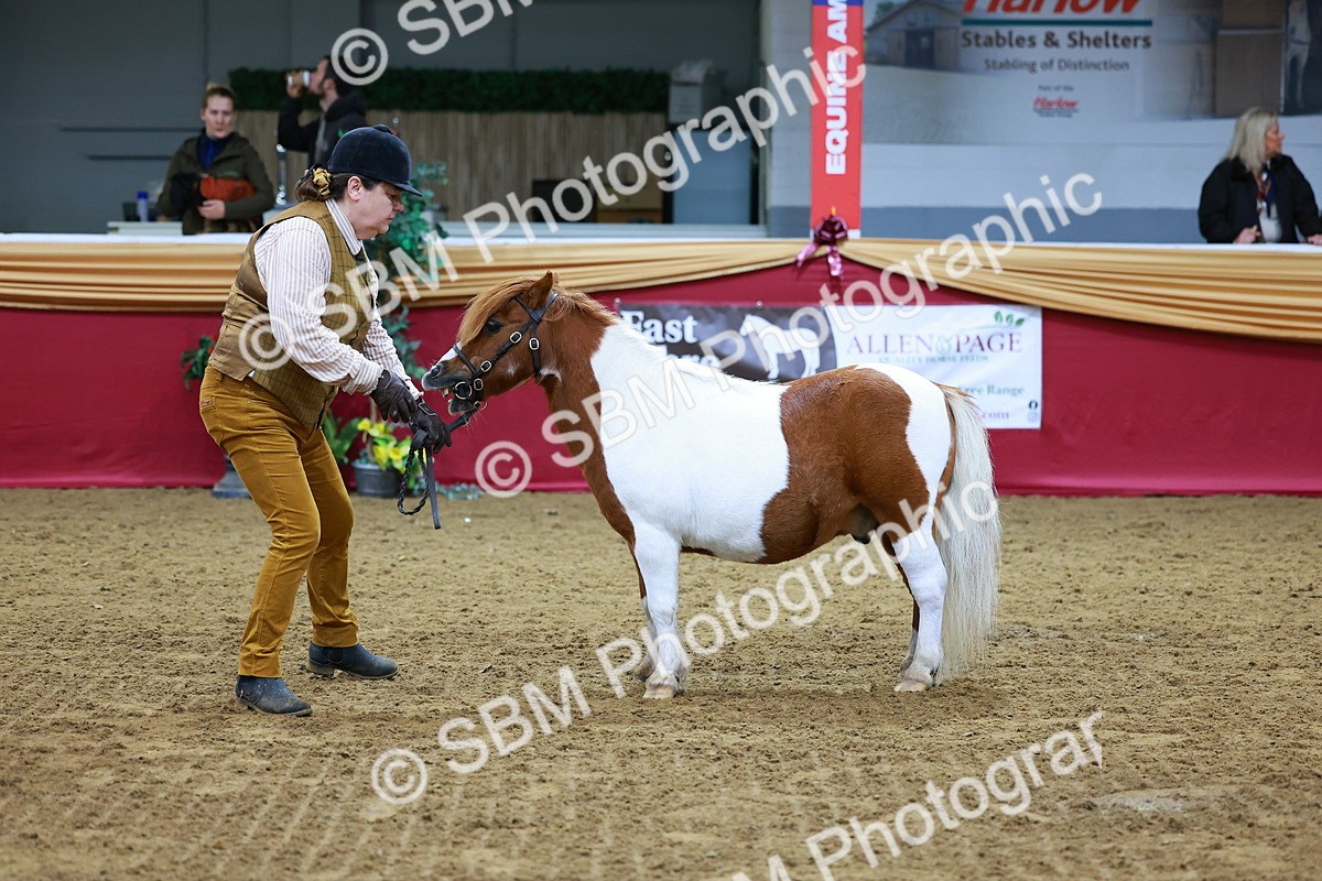 SBM_00290