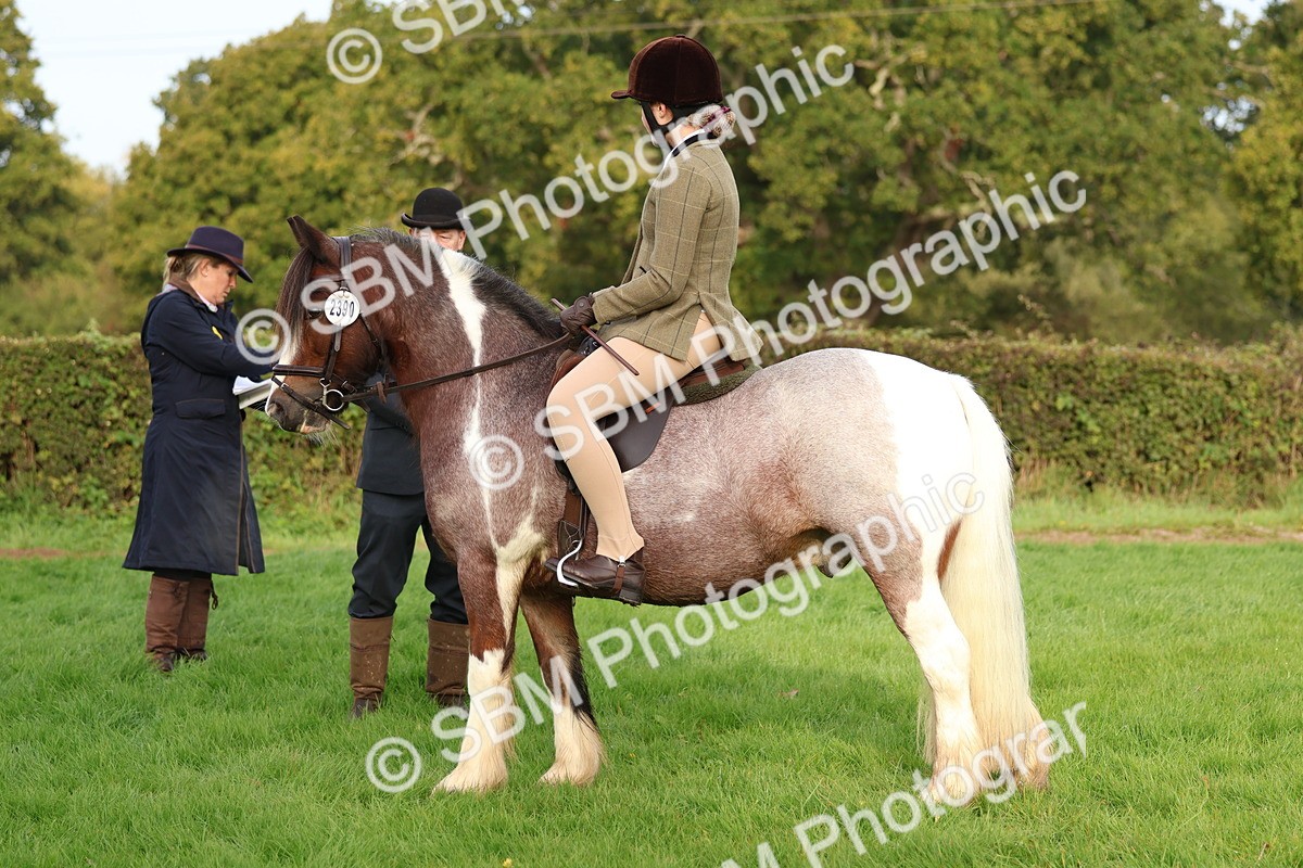 SBM_56616 - S40 - Starters Ridden Showing
