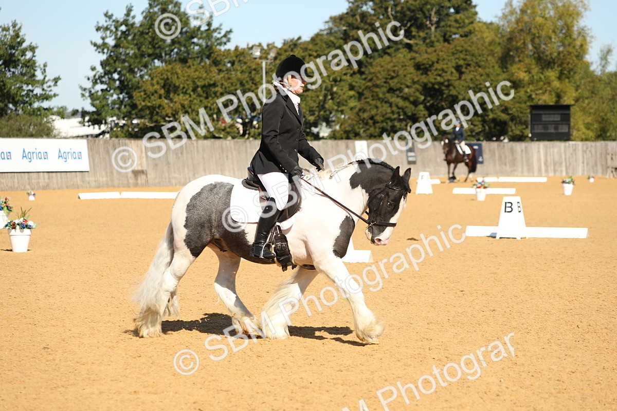 SBM_18893 - D10 - Small Tour Championship - Prelim 2