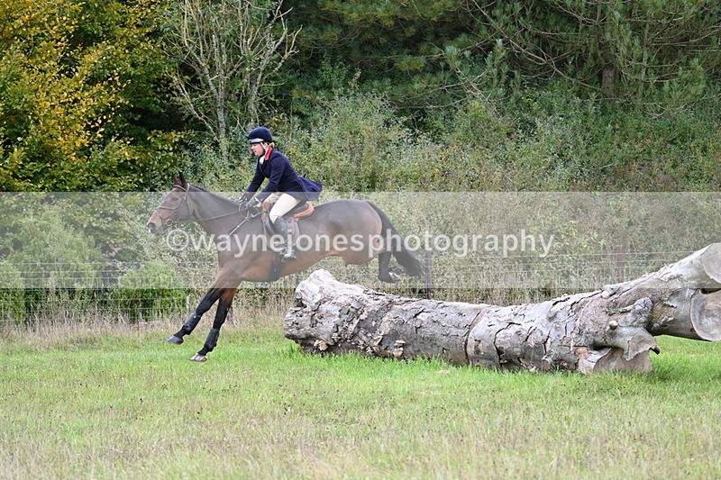 WJ7_3618 - Camera 1 Line 1