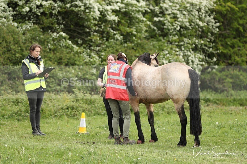 DSP29627 - Venue & Vetting