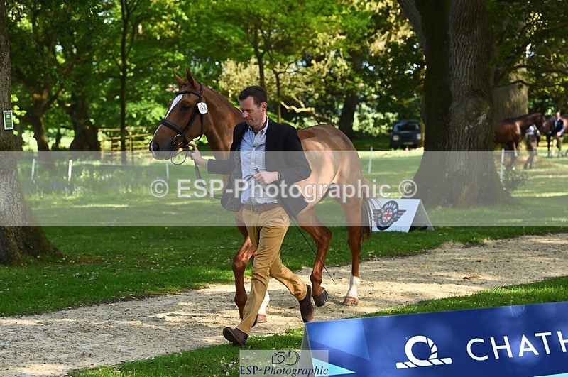 230524-165558-01189 - 157-GODSEND_DU_GIVRE-Henry_Dove-WEDTrotUp+DR
