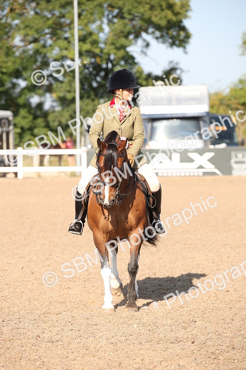 SBM_00782 - Class 14 Ridden M&M Wildcard