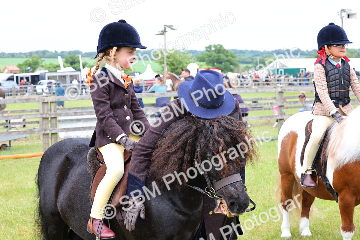 SBM_08352 - Class 42-43 - LIHS BSPS Heritage Working Sports Pony