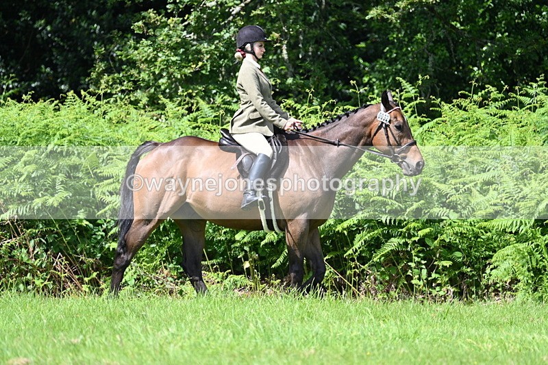 WJ7_1516 - Class 11 Condition & Turnout