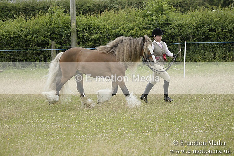 B230619-0841 - Bourne Valley Riding Club Summer Show 23/06/19