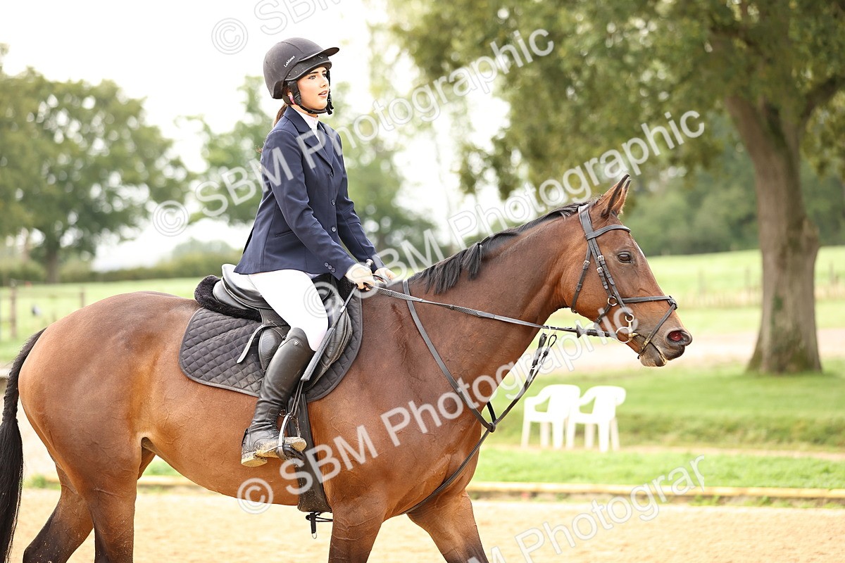 SBM_58378 - J41 - Grand Tour Horse & Pony 95cm