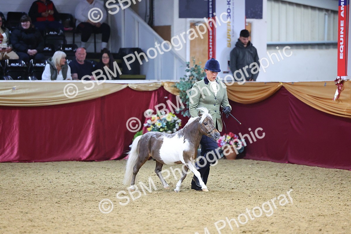 SBM_22811 - Class 903 - Supreme Final - IH Pre Vet