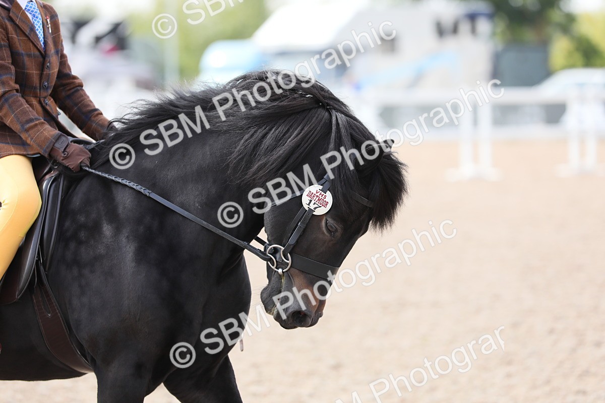 SBM_14692 - Class 310 First Ridden Pony