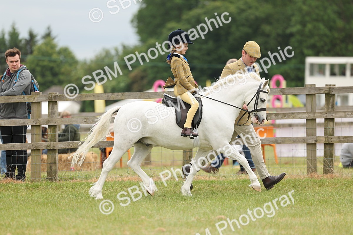 SBM_06703 - Class 74-75 - M&M Lead Rein and First Ridden Pony