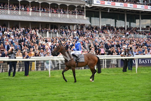 yr20082021r4-44 - Race 4 3.35pm Coolmore Wootton Bassett Nunthorpe Stakes (British Champions Series Race)