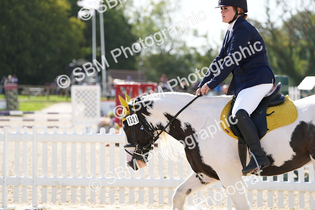 SBM_16916 - J58 - Clear Round 50cm