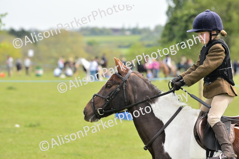 20260426-2428 - Class 21 - Working Hunter Ponies
