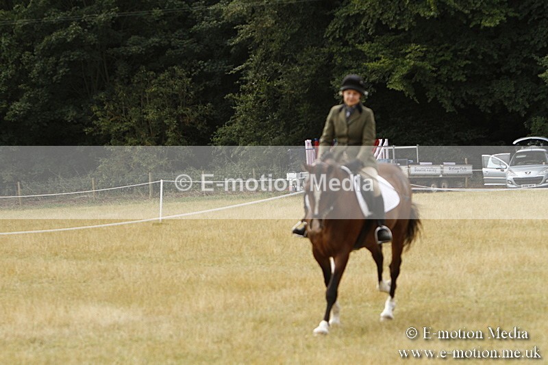 _BS_0646 - BVRC Show 2018 Ring 3