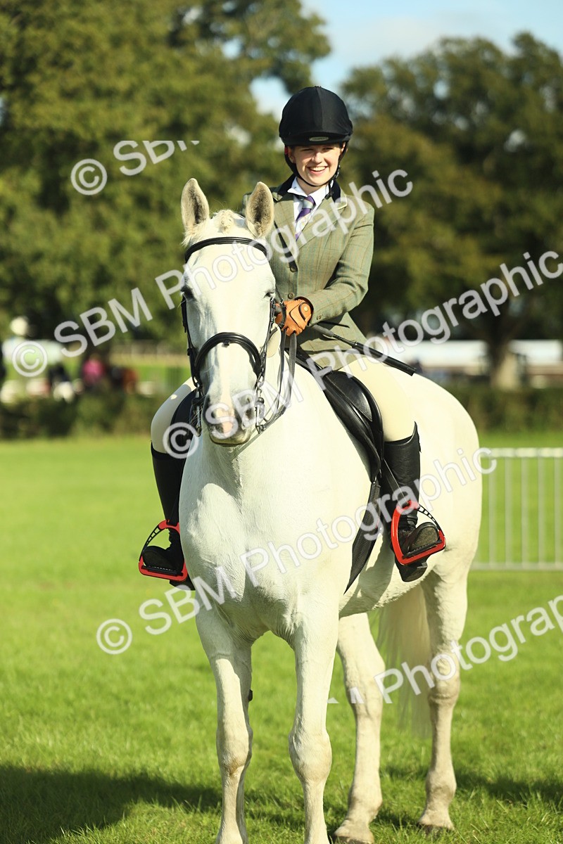 SBM_49856 - S32 - Novice & Newcomers Working Hunter