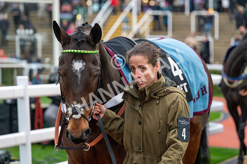 161125-Race 5-Iberico Lord-1738 - Race 5