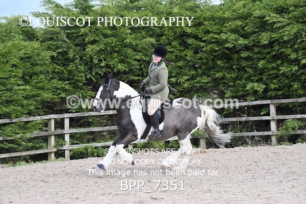 BPP_7351 - RING 1  (RIDDEN HORSES / IN HAND / VETERAN ETC)