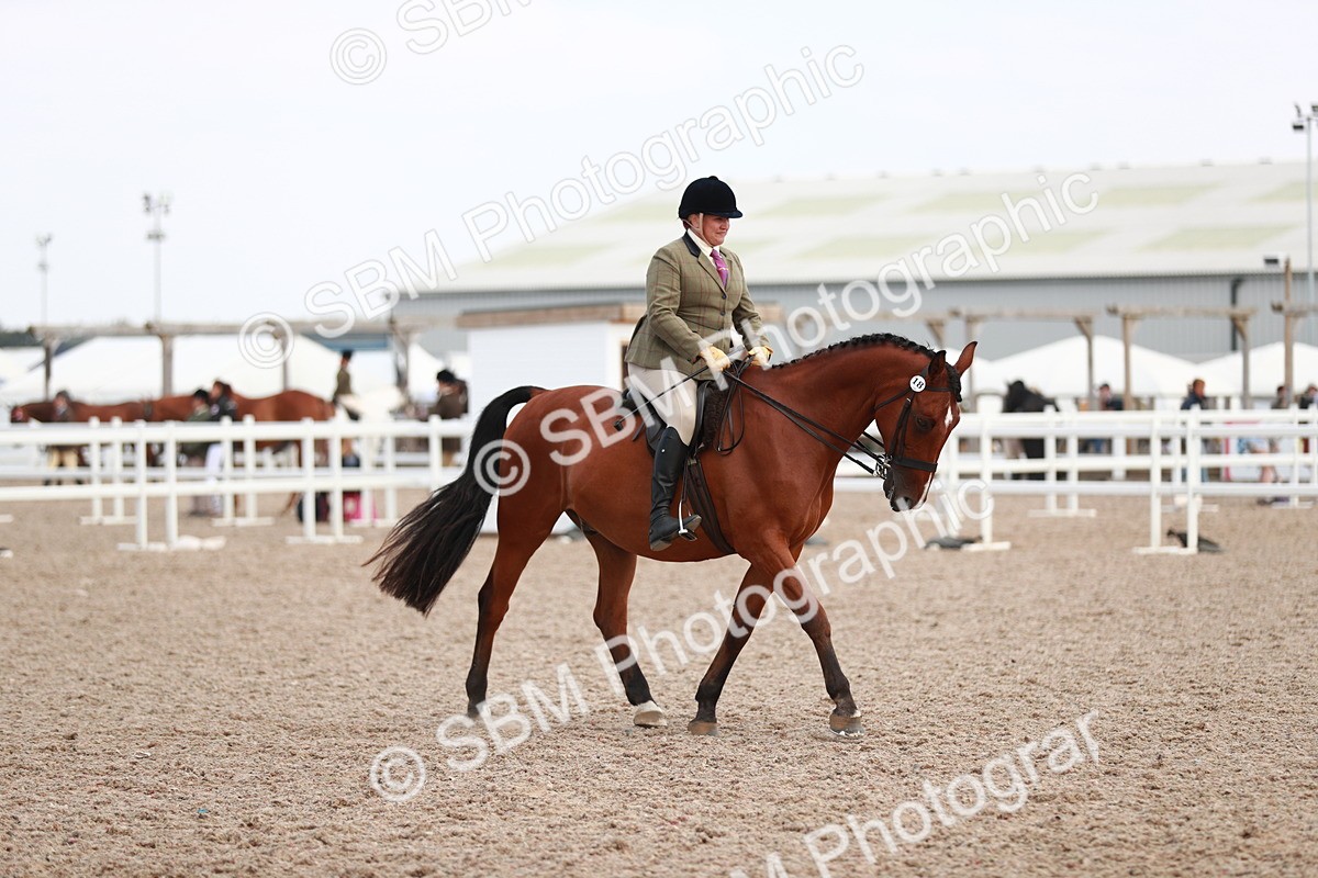 SBM_15528 - Class 213 Ridden Hunter -Large