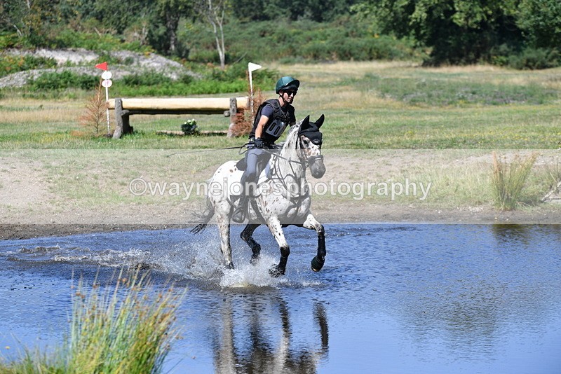 WJ5_2382 - XC Time 11:17 to 11:50