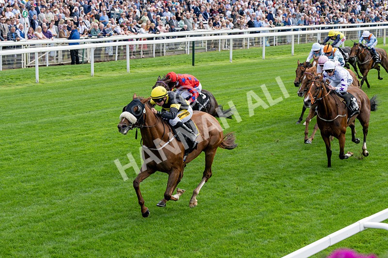 190826-Race 1-Air Force One-0150 - Race 1 13.50pm Hong Kong Jockey Club World Pool Handicap