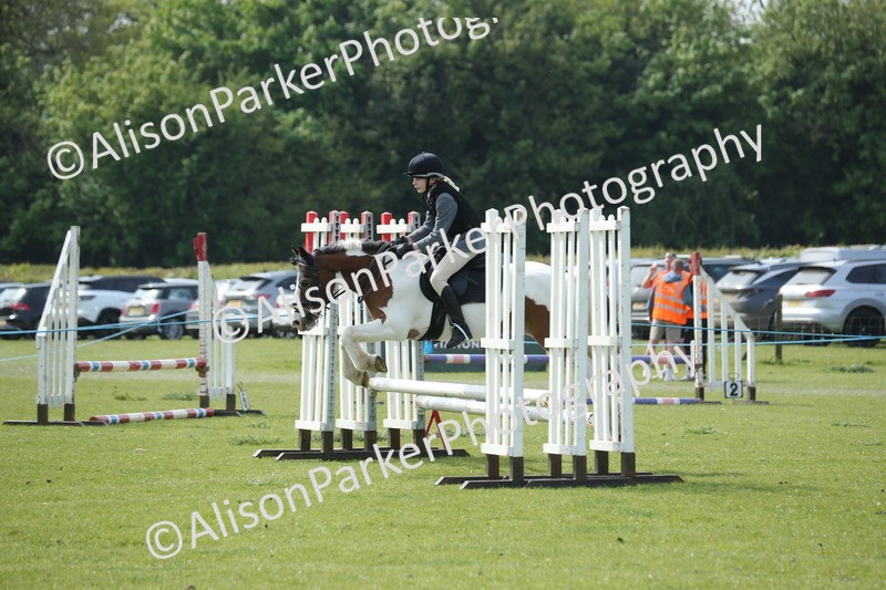 20260426-1564 - Class 14 - Novice 60cm